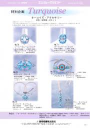 �^�[�R�C�Y�A�N�Z�T���[PDF